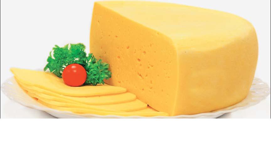Сыр твердый Российский 50% малый круг 3,5 кг ТМ Добрая Ферма